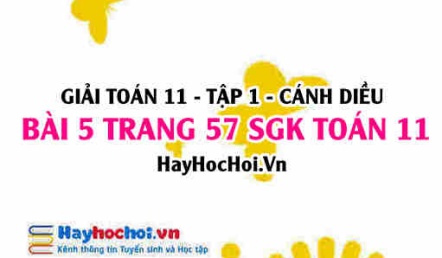 Giải bài 5 trang 57 Toán 11 tập 1 SGK Cánh Diều